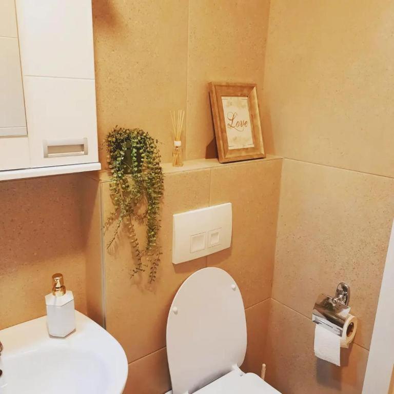 Lux Natural Vrnjačka Banja Kültér fotó